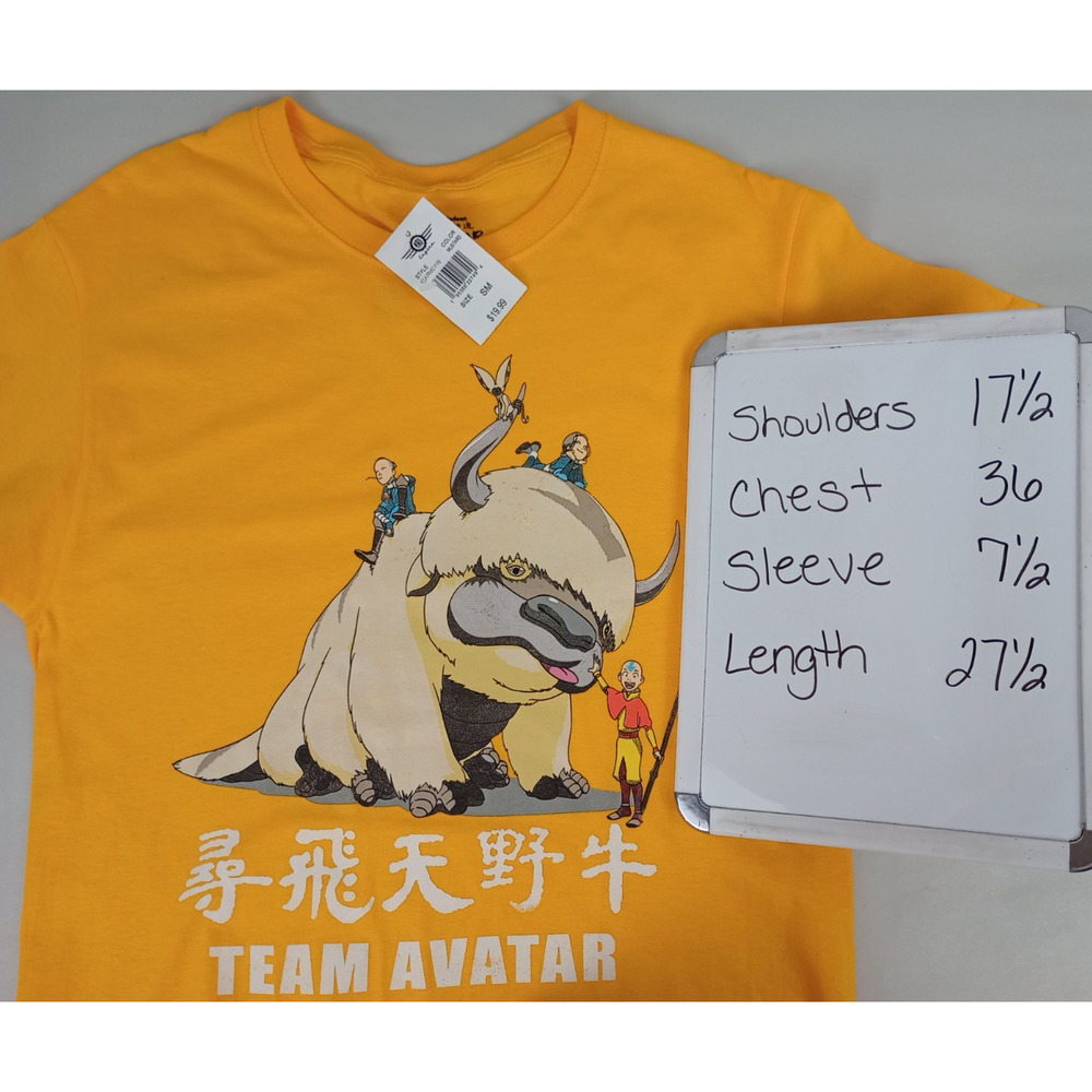 NWT Avatar Mad Engine Adult S Yellow The Last Airbender Appa Aang Graphic Tshirt - Picture 5 of 7